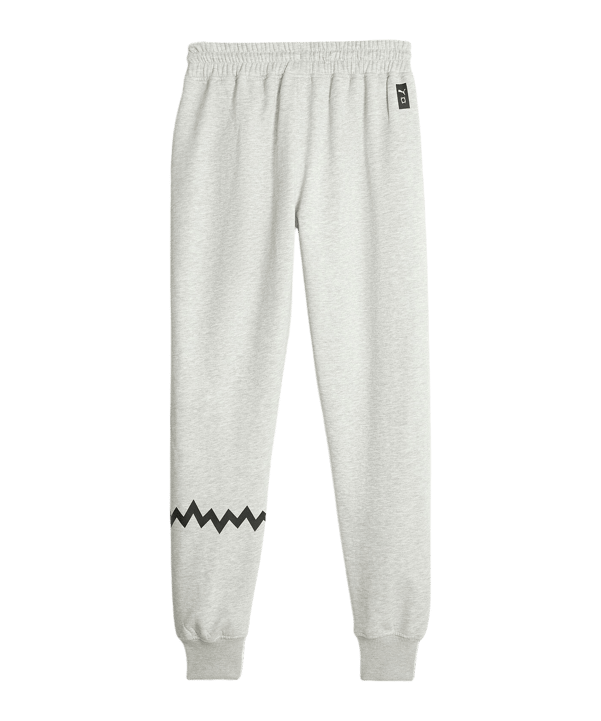 PUMA Hoops Team Sweat Jogginghose Grau F03 - grau
