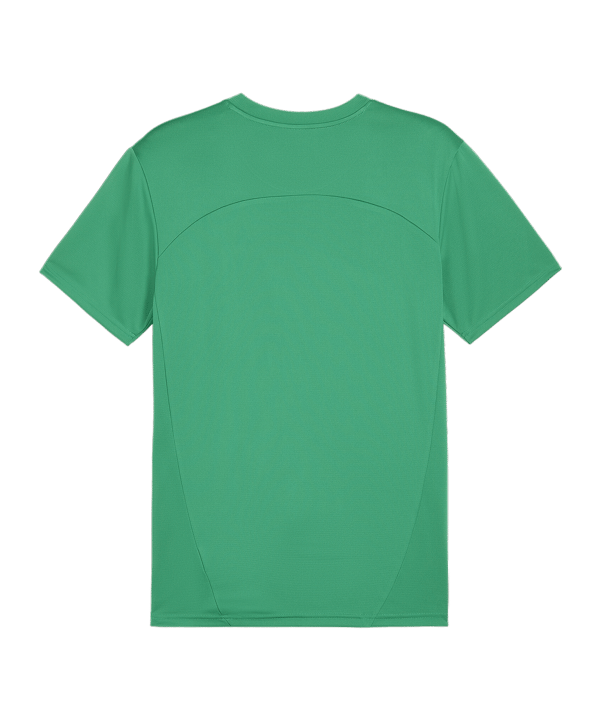 PUMA teamFINAL Trikot Grün F05 - gruen