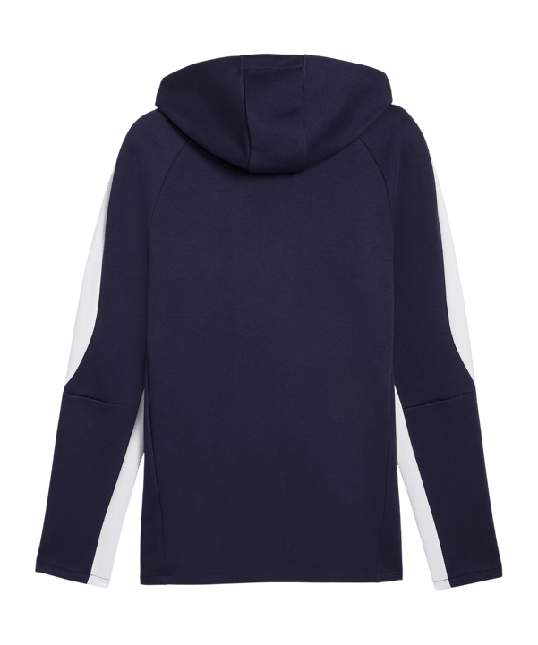 PUMA TeamEvostripe Hoody Blau F06 - blau