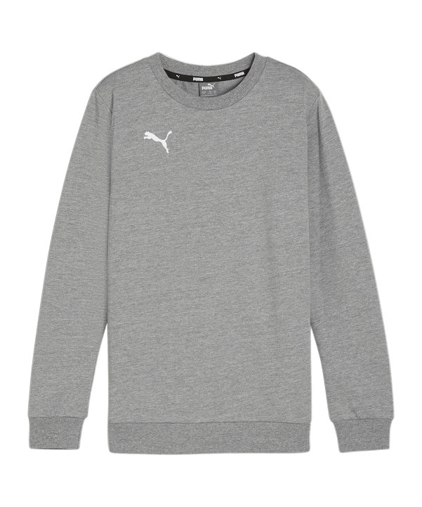 PUMA teamGOAL Casuals Sweatshirt Kids Grau F33 - grau