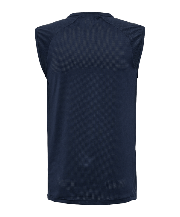 Hummel Pro Training Trikot Blau F7026 - blau