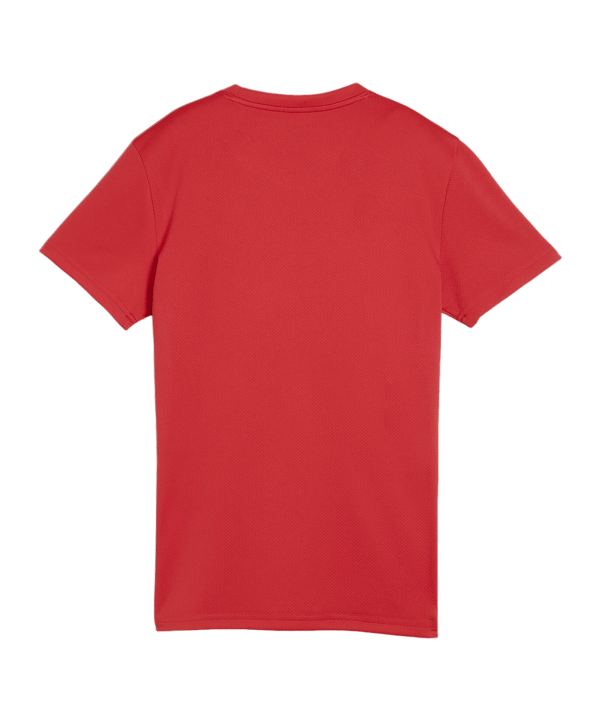 PUMA teamGOAL Trikot Damen Rot F01 - rot