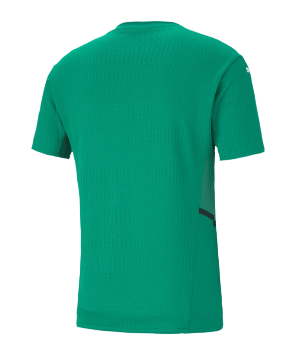 PUMA teamCUP Trikot Kids Grün F05 - gruen