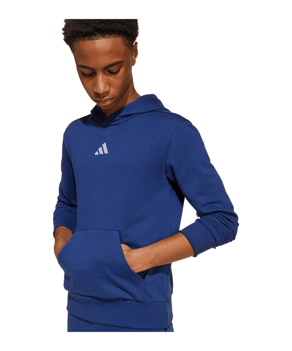 adidas Essentials Hoody Kids Blu - blu