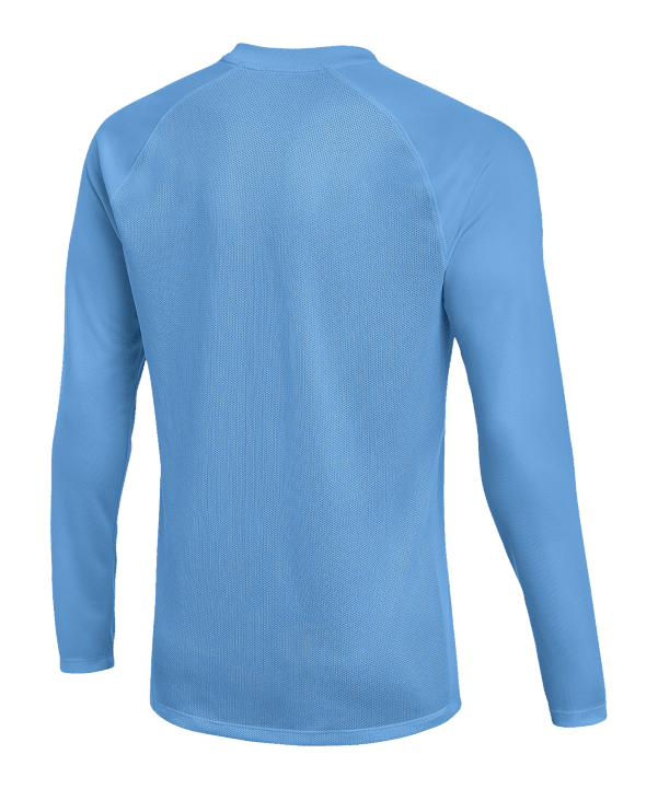 Nike Park VIII Trikot langarm Kids Blau F412 - blau