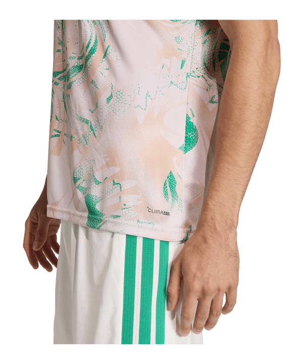 adidas FAF Algerien Prematch T-Shirt WM 2026 Beige