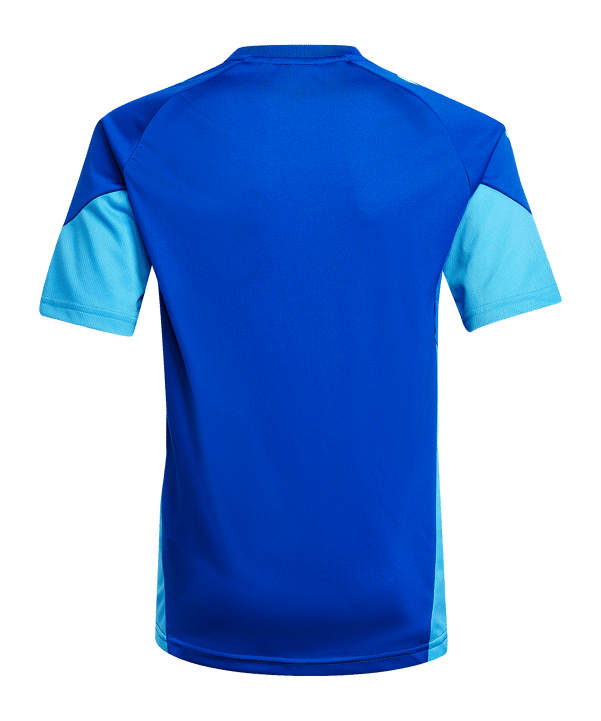 adidas Tiro 25 Competition Trainingsshirt Kids Blau - blau