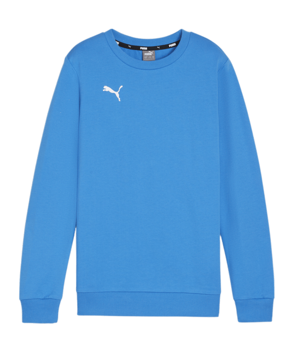 PUMA teamGOAL Casuals Sweatshirt Kids Blau F02 - blau