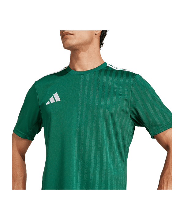adidas Campeon 25 Trikot Grün - gruen