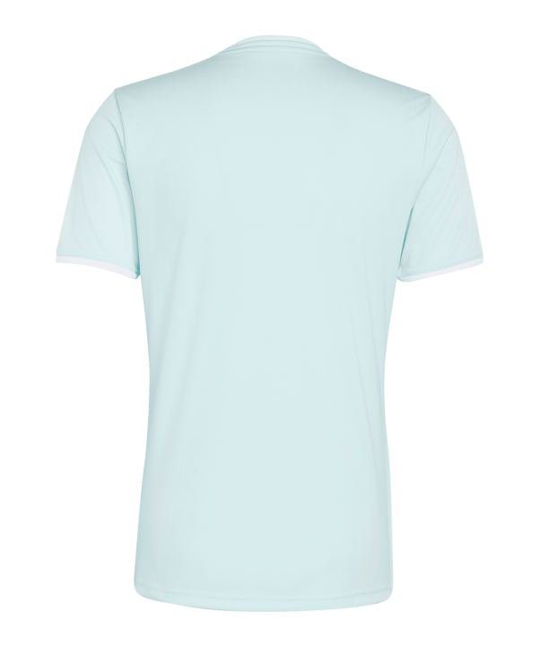adidas Entrada 26 Trikot Türkis - tuerkis