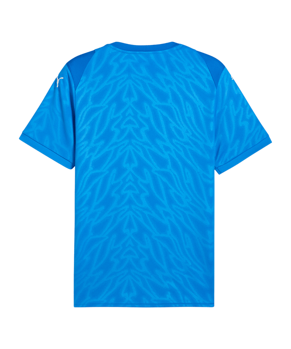 PUMA Trikot Blau F02 - blau