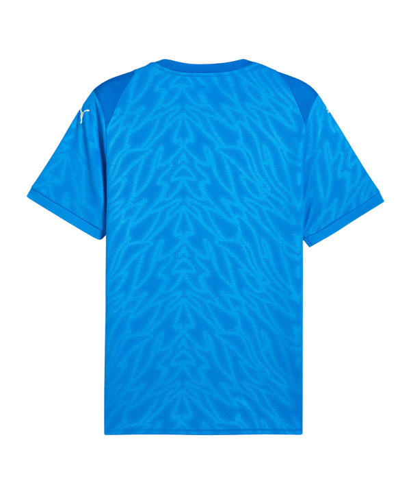 PUMA Trikot Blau F02 - blau