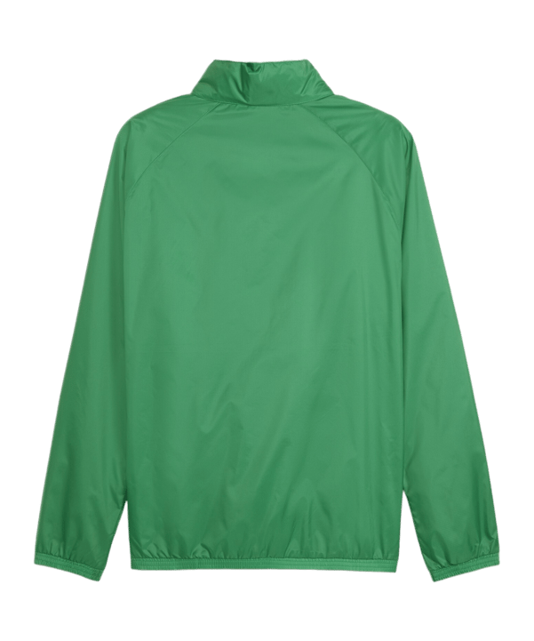 PUMA teamGOAL Allwetterjacke Grün Weiss F05 - gruen