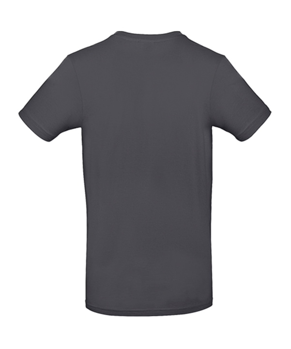 TV NEULER T-Shirt Crest (DGY) - grau