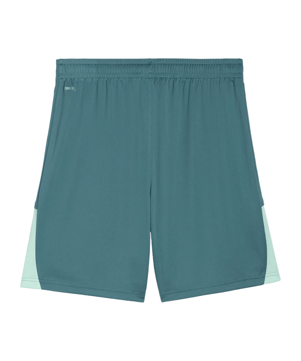 PUMA teamLIGA26 Short Grün F43 - gruen