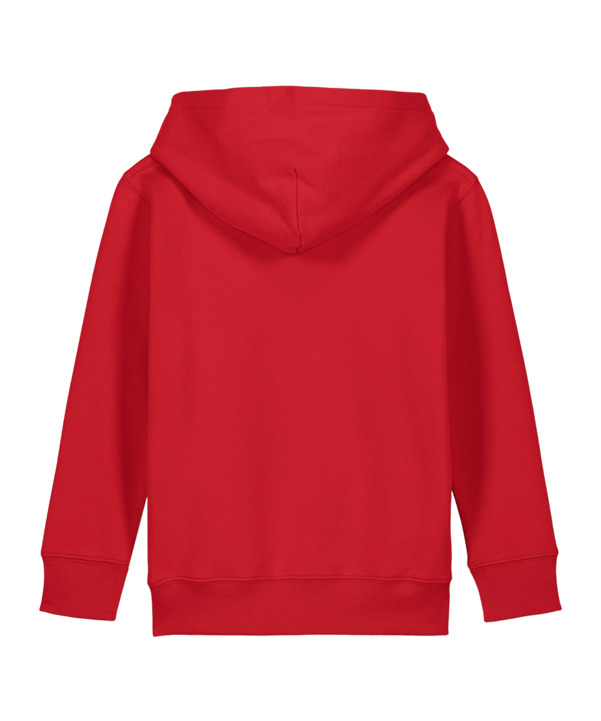 Merch Mini Cruiser 2.0 Hoody Kids Red FC004 - rot