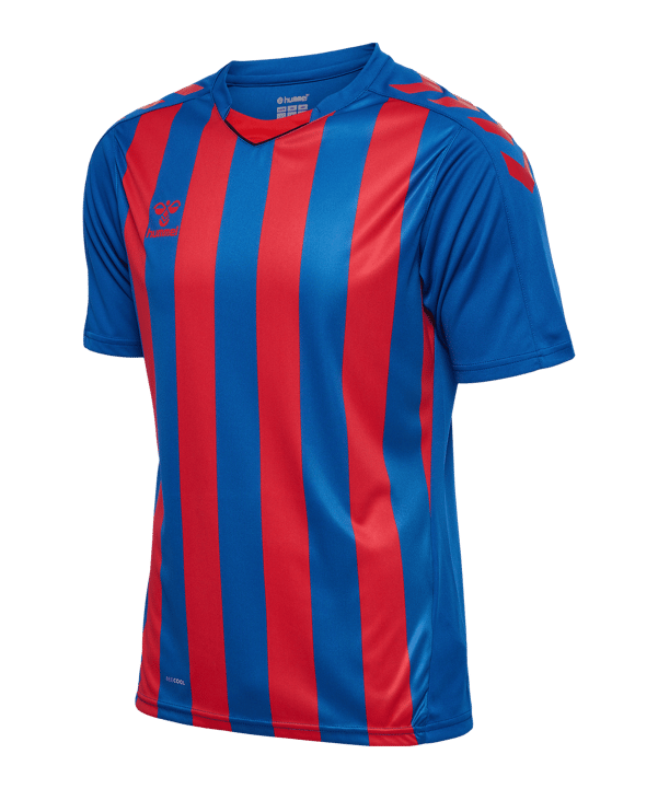 Hummel hmlCore XK Striped Trikot Blau F7358 - blau