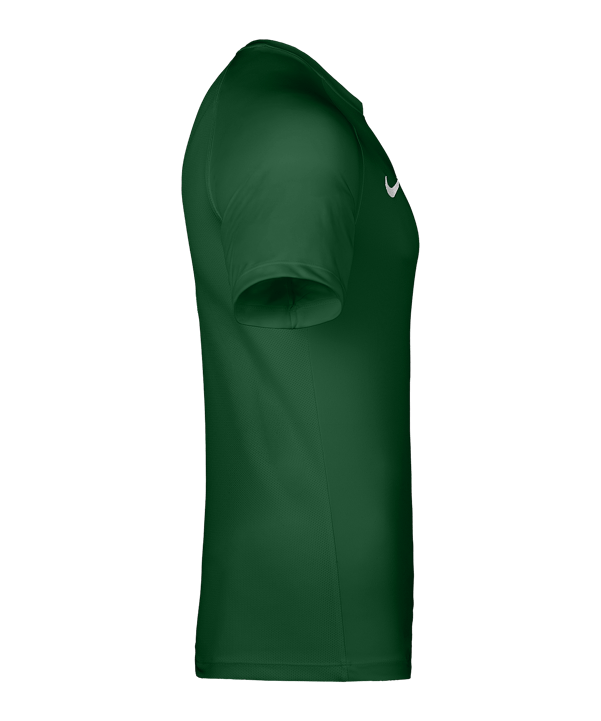 Nike Park VIII Trikot Grün F302 - gruen