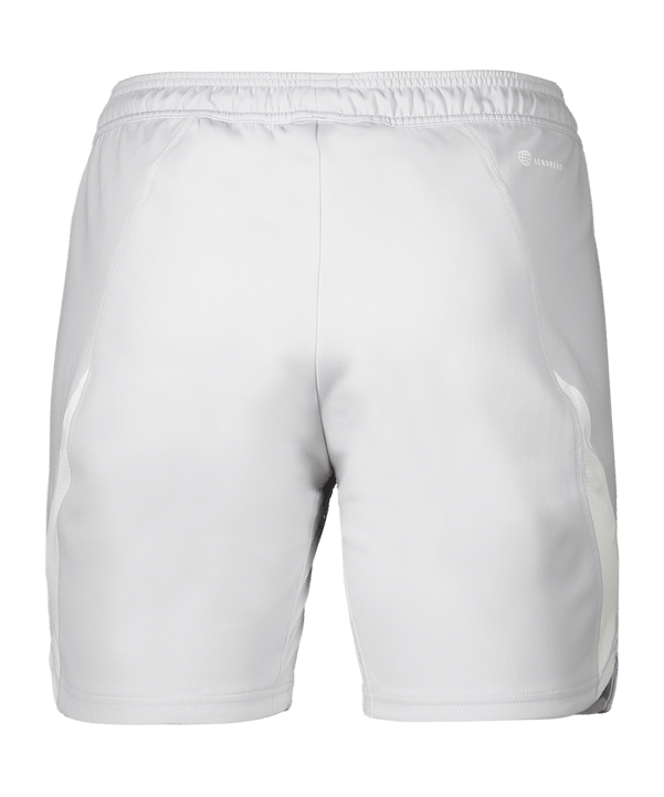 adidas Tiro 23 Pro Torwartshort Grau Weiss - grau