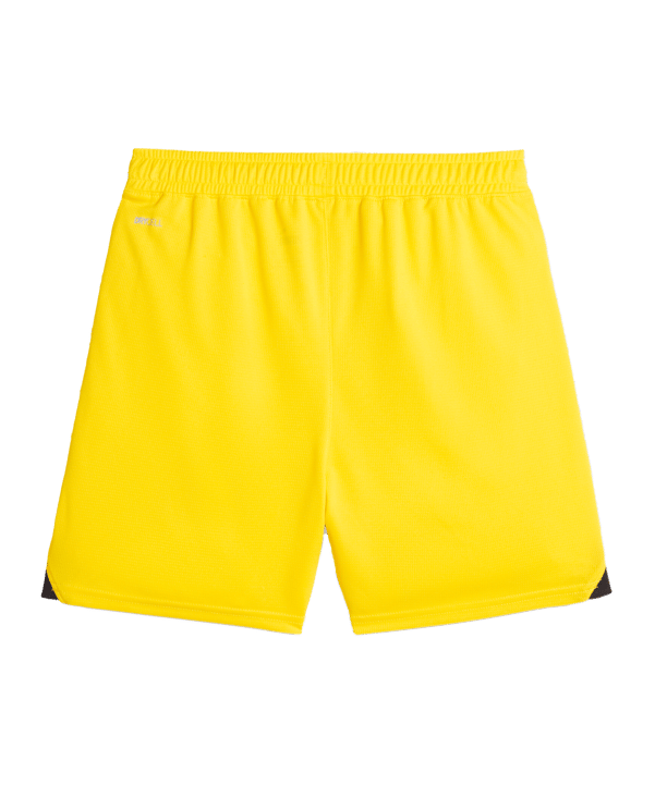 PUMA BVB Dortmund Short 2023/2024 Kids Gelb F01 - gelb