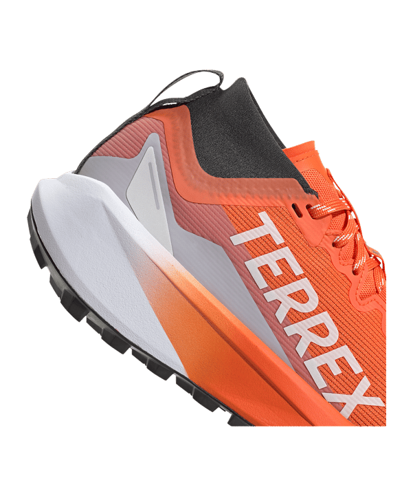 adidas Dames Terrex Agravic GTX Loopschoen Wit - wit