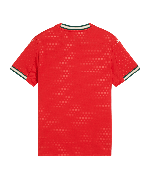 PUMA Maillot Rouge C01 - rouge
