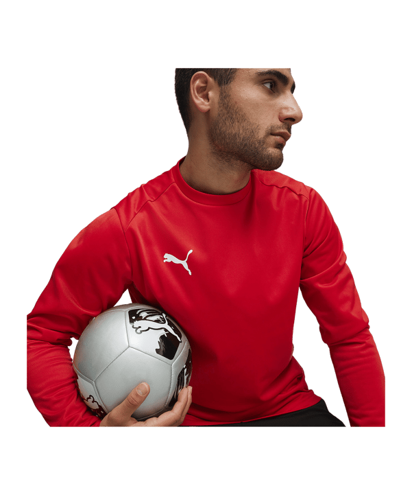 PUMA teamGOAL Training Sweatshirt Rot F01 - rot
