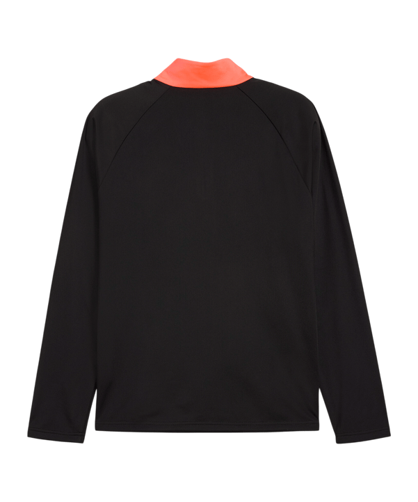 PUMA IndividualLIGA 1/4 Zip Sweatshirt Schwarz F07 - schwarz