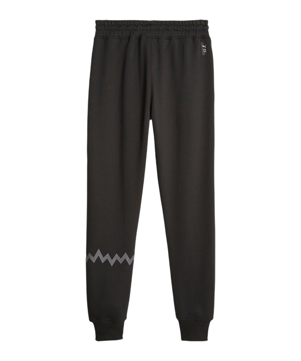 PUMA Hoops Team Sweat Jogginghose Schwarz F01 - schwarz