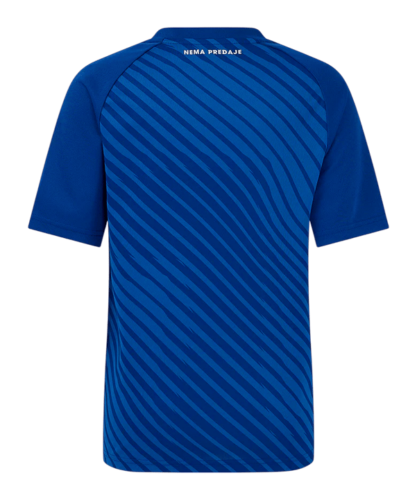 Castore Dinamo Zagreb Trikot Home 2024/2025 Blau F030 - blau