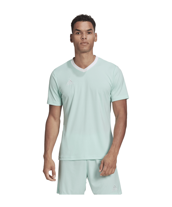 adidas Entrada 22 Trikot Türkis Weiss - tuerkis