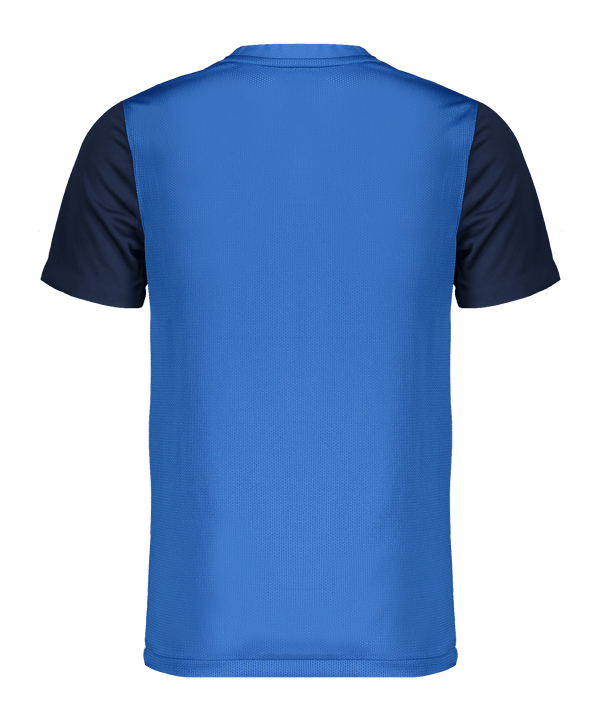 Nike Trophy V Trikot Kids Blau F463 - blau