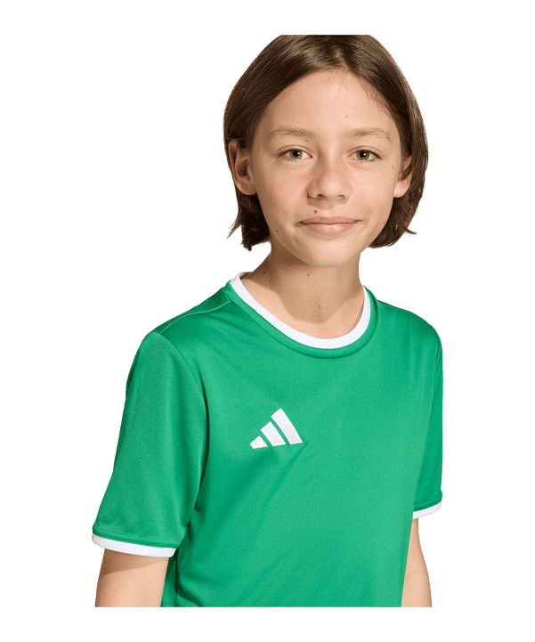adidas Entrada 26 Trikot Kids Grün - gruen