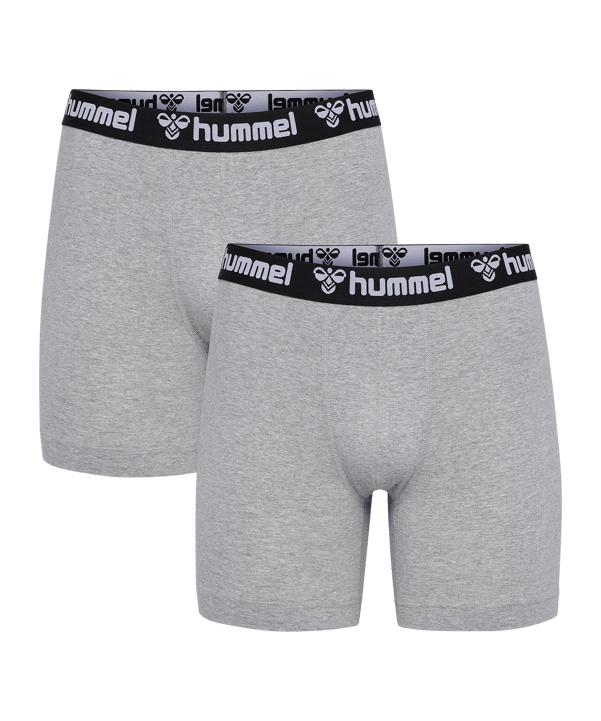 Hummel 2-Pack sous-vêtements Shorts gris F2006 - gris