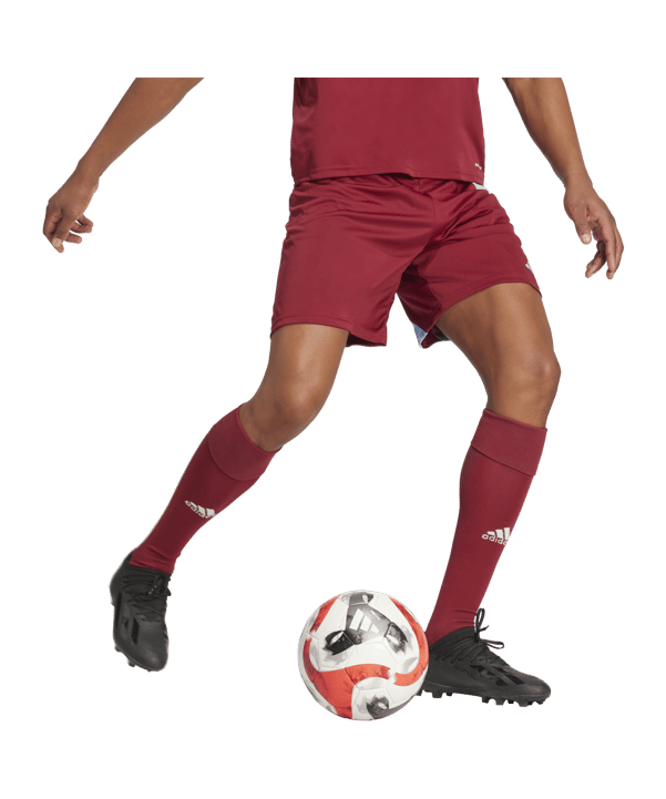 adidas Fortore 23 Short Rot Blau - rot