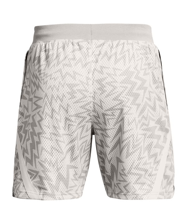 Under Armour Curry Mesh Short 2 Grün - grau