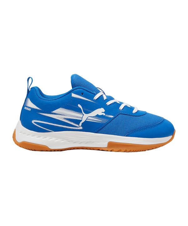 PUMA Varion II Schuh Kids Blau F03 - blau