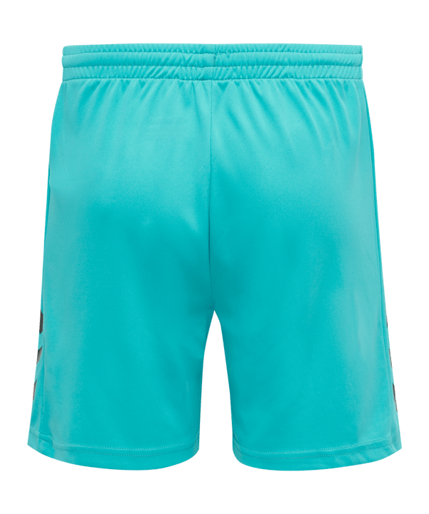 Hummel Core GK Torwarttrikotset Blau F7905 - blau