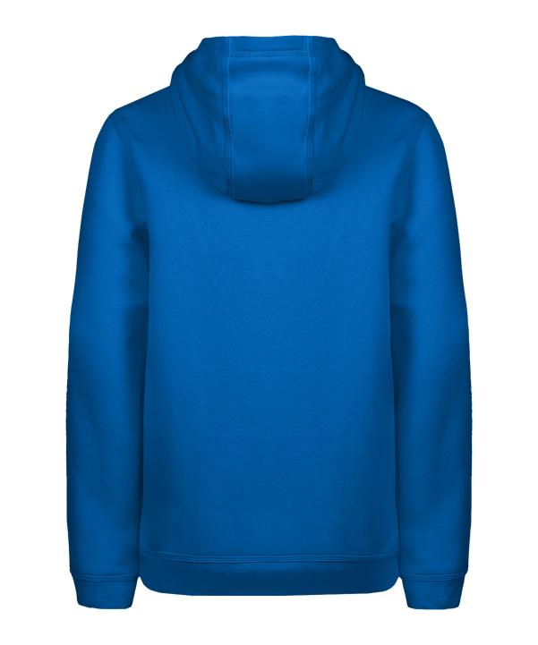 Nike Park 26 Hoody Kids Blau F463 - blau