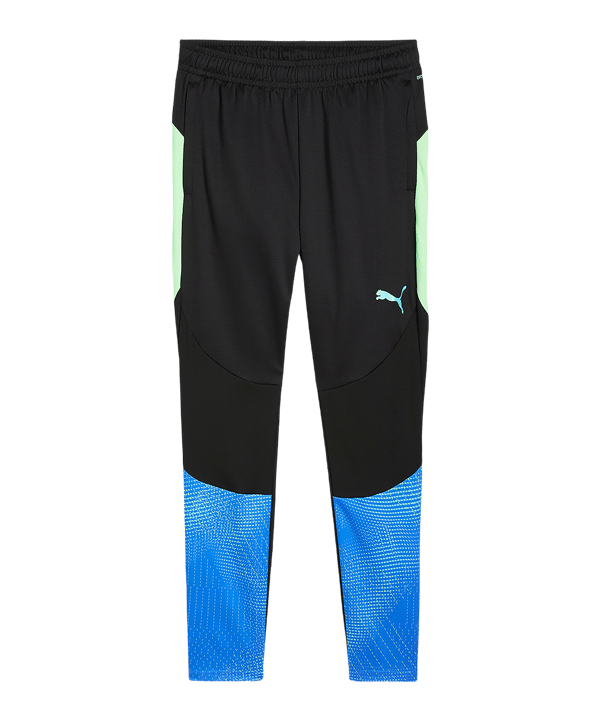PUMA individualFINAL Trainingshose Schwarz F02 - schwarz