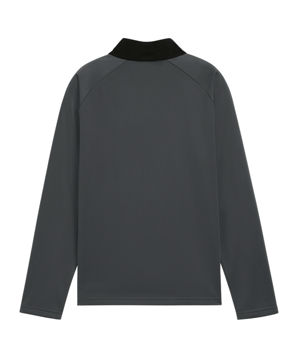 PUMA Individualliga 1/4 Zip Sweatshirt Kids Grau F10 - grau