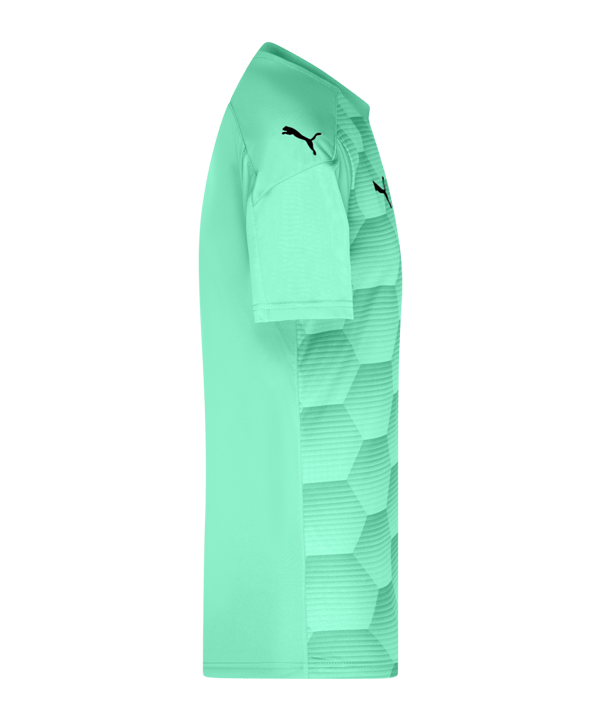 PUMA teamFINAL 21 Graphic Trikot kurzarm Grün F21 - gruen