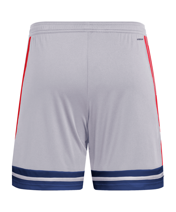 adidas Squadra 25 Short Grau - grau