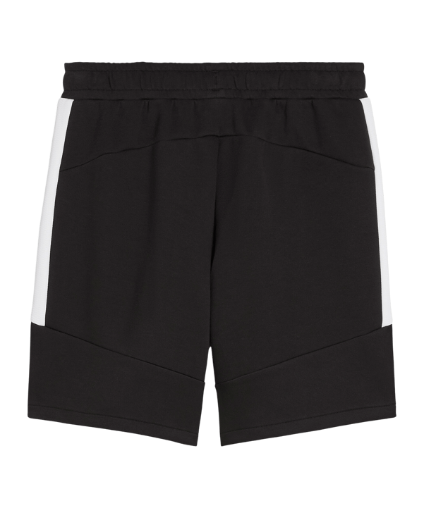 PUMA teamEVOSTRIPE Short Schwarz F03 - schwarz