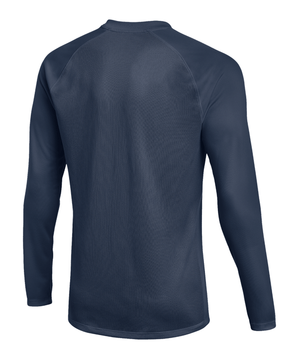 Nike Park VIII Trikot langarm Blau F410 - blau