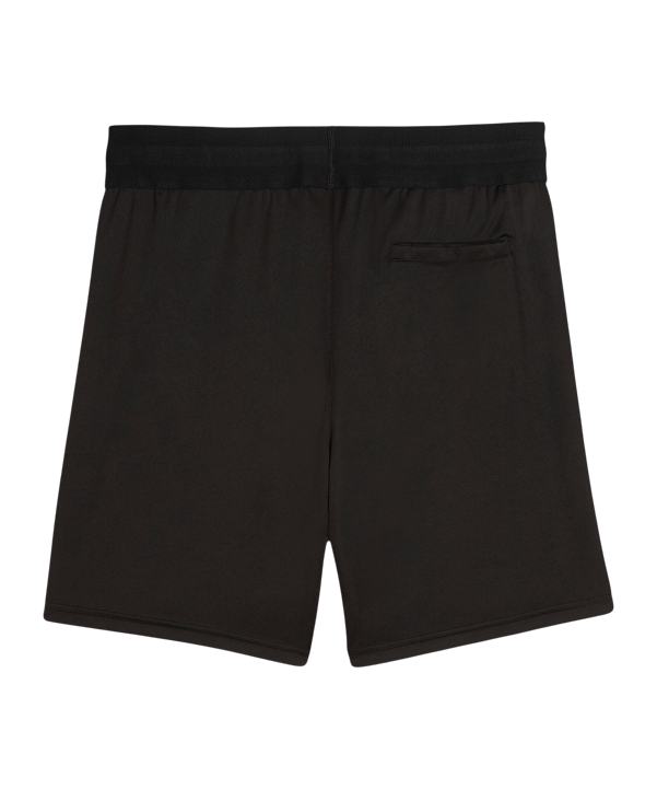 PUMA teamLIGA26 Schiedsrichtershorts Schwarz F03 - schwarz