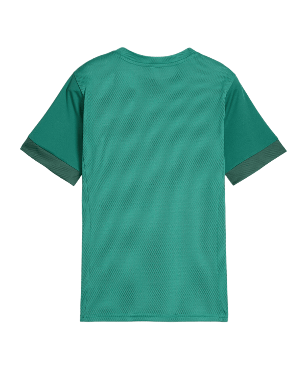 PUMA teamGOAL Matchday Trikot Kids Grün Weiss F05 - gruen