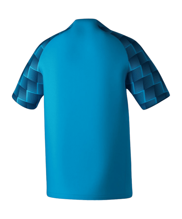 Erima EVO STAR Trikot Blau - braun