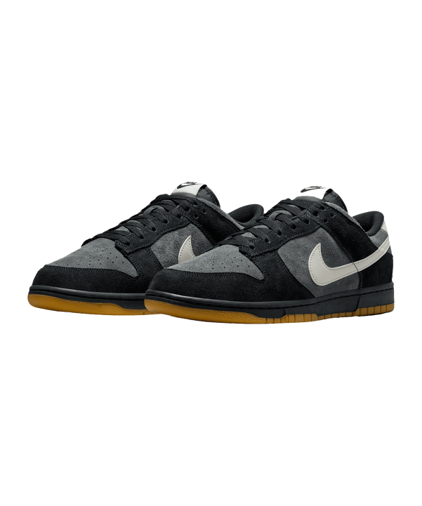 Nike Dunk Low Retro SE Sneaker Schwarz F001 - schwarz