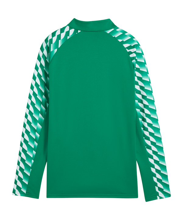 PUMA teamLIGA26 Training 1/4 Zip Top Kids Grün F05 - gruen